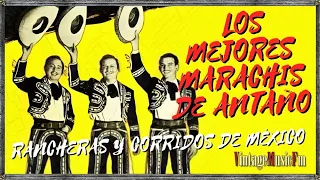 LOS MEJORES MARIACHIS DE ANTAÑO, CANTANTES RANCHERAS Y CORRIDOS DE MEXICO, TEMA - RECORDANDO A QUINO