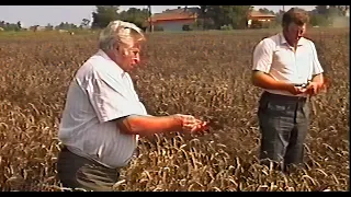 Kömlői Május 1 MGTSZ egy munkanapja  (1991.08.24 )