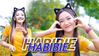 DJ HABIBIE NEW X MELODY VIRAL YANG KALIAN CARI