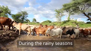 Sand dam transforms lives in Lomuria village, Karamoja region, Uganda