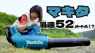 【威力すご！】マキタの巨大ブロワー買っていろんな物とばす実験してみた【マキタMUB184D】