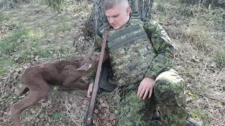 Diesem Soldaten näherte sich ein Elchbaby - was dann geschah, ist schockierend