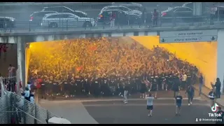 L'AMBIANCE EXCEPTIONNELLE DES ULTRAS PARISIENS A BENFICA ( BENFICA-PSG) LDC