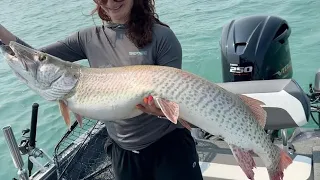 Musky fishing on Lake St Clair June 2023. Hooked into a giant 🐳