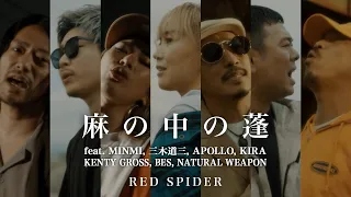 RED SPIDER - 麻の中の蓬 feat. MINMI, 三木道三, APOLLO, KIRA, KENTY GROSS, BES & NATURAL WEAPON (MUSIC VIDEO)