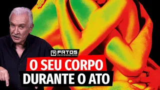 É isso que acontece com o seu corpo quando você faz sexo