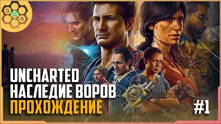 Uncharted: Утраченное наследие | Uncharted: The Lost Legacy прохождение на русском | #1 !tg