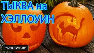 Тыква на хэллоуин своими руками