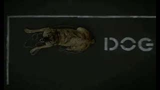 Dogville (2003) - ending, real dog