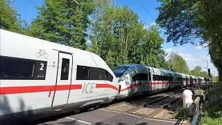 Bahnübergang im Krugfeld Hildesheim Züge am Mittwoch 8.5.2024 ICE 4 Doppeltraktion