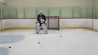 Become Elite Athlete: Christian Gonsalves Working on Footwork and Puck Absorbtion: Goalie Drills