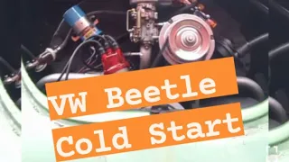 VW Beetle Cold Start