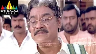Pavitra Prema Movie Kota Comedy Scene | Balakrishna, Laila | Sri Balaji Video