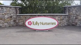 Careers in Tully Nurseries