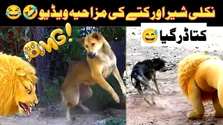 TRY NOT TO LAUGH 😆 Best Funny Videos Compilation Fake Tiger Vs Dog funny videos🤣