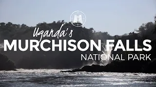 Murchison Falls National Park, Uganda / 2023