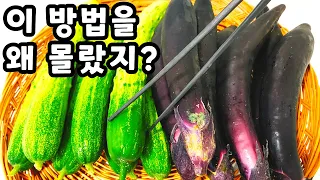 💚오이와 가지 이 방법은 아무도 모릅니다 보이면 많이 사오셔서 이렇게 드세요🍆이렇게 해 놓으면 여름이 건강하고 행복합니다