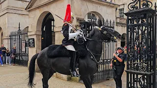 POLICE AND GUARD ARE SHOCKED WHEN THE HORSE has enough and wanders off at Horse Guards!