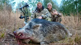 Bowhunting for the Boar Of A Lifetime! Hog and Deer Hunting