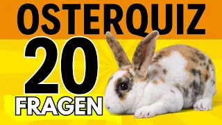 Oster Quiz - Teste dein Wissen zu Ostern 🐰🐣🥚🌷