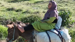 donkey ride , a nomadic woman, at the request of channel subscribers. Free at the same time 🤗😍🏕