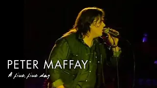 Peter Maffay & Tony Carey - A Fine, Fine Day (Live 1987)