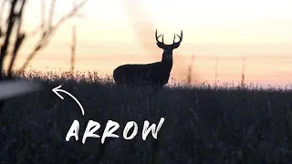 HUNTING PUBLIC land in SOUTH DAKOTA | WE SHOT 2 BUCKS in 1 NIGHT! | South Dakota Public Deer (Pt. 2)