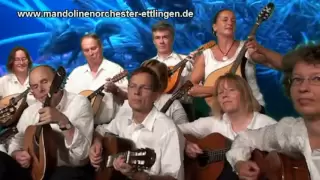 Earth Song Michael Jackson Mandolin Orchestra Zupforchester Cover