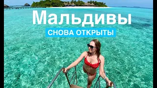 МАЛЬДИВЫ: 5* DUSIT THANI и манты в Ханифару Бэй