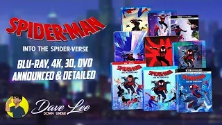 SPIDER-MAN: INTO THE SPIDER-VERSE - Blu-ray, 4K, 3D, DVD Announced & Detailed