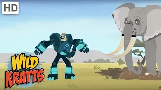 Wild Kratts - Rhino and Elephant Creature Challenge | Kids Videos