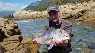 Montage Pêche au vif