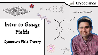 Quantum Field Theory | Introduction to Gauge Fields