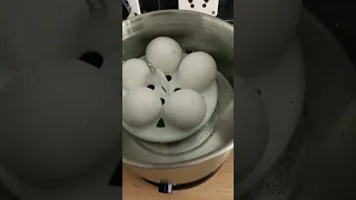 Egg boiling Test in Prestige Multicooker 1.0