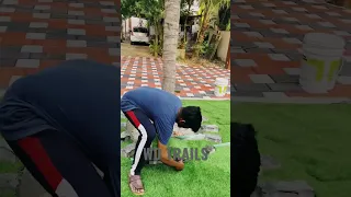 One more upgrade in garden for Rs.1200 ✨ | Interlock art | Grass cutting