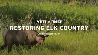 Restoring Elk Country - Wildfire Restoration