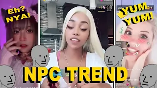 The TikTok NPC Trend Is CRINGE!