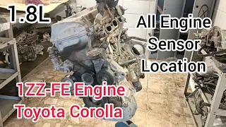 1ZZ-FE Engine All Sensor Locations Of Toyota Corolla 1.8L