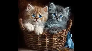 😺 Kittens are my love! 🐈 Funny and cute video with kittens for a good mood! 😸