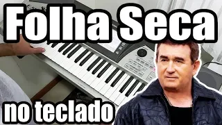 Folha Seca no Teclado - Amado Batista