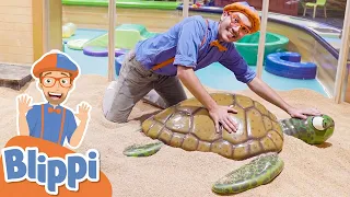 Blippi Visits A Children's Museum! | Learn Colors & Numbers | Educational Videos For Kids