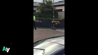 Police Chase Goat on Main Street Roundabout