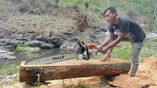 STIHL MS 382 bar 30inch mengolah papan kayu pinus kering yang terbawa banjir