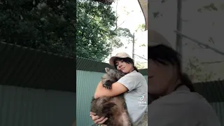 Have you ever wanted to cuddle a wombat? I sure have 🥹