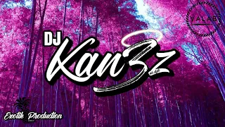 DJ KAN3Z ft AKINO - Je suis Tombé [GOUYAD 2020]