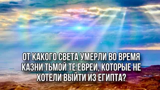 От какого света умерли те , кто не хотел выходить из яегипта?