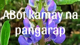 Abot Kamay Na Pangarap March 16, 2023 Full Episode 165
