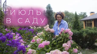 Июль в Саду I Сад Людмилы Кудасовой