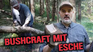 Survival Baum Esche - ein paar Gedanken und Tipps zur Nutzung