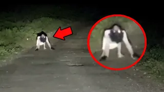 CAUTION! These Scariest Videos Will Give You Nightmares !